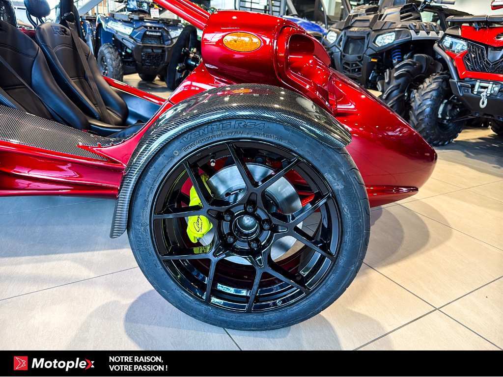Campagna T-Rex RR 2026