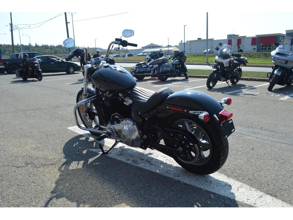 Harley-Davidson FXST Softail 2024