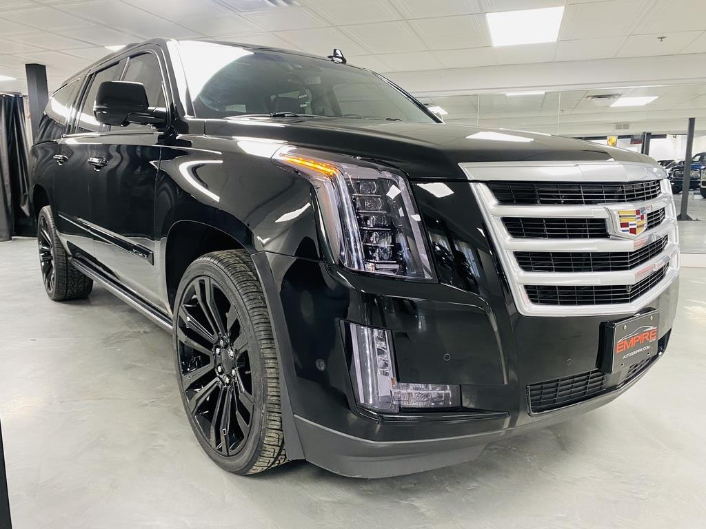 Cliquez pour agrandir