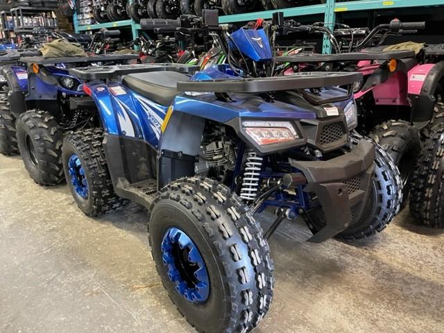 Cliquez pour agrandir