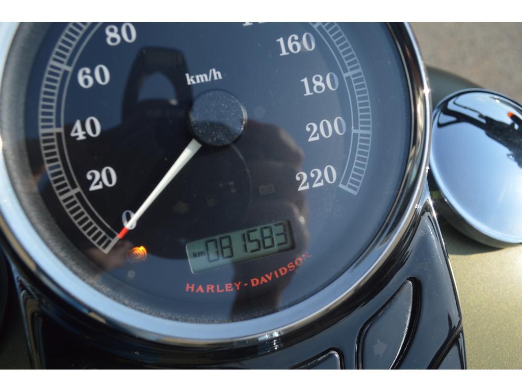 Harley-Davidson FLSS 2017