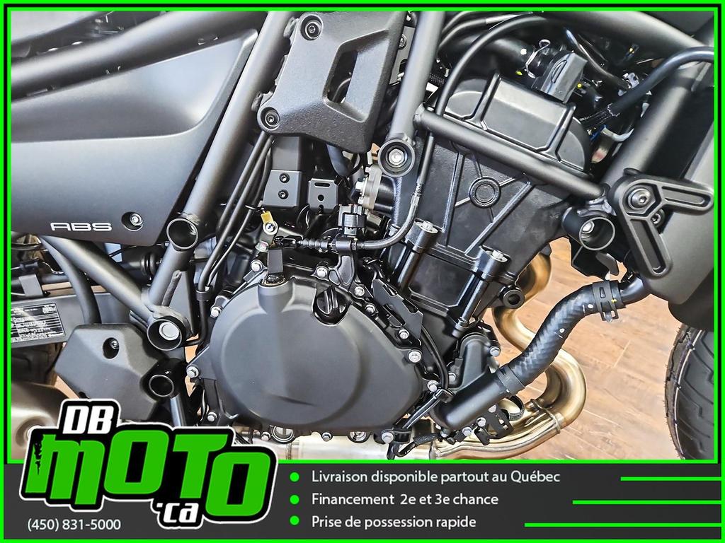 Kawasaki ELIMINATOR 2024