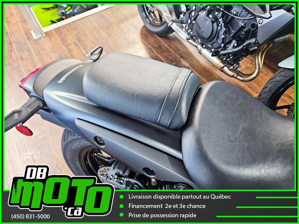 Kawasaki ELIMINATOR 2024