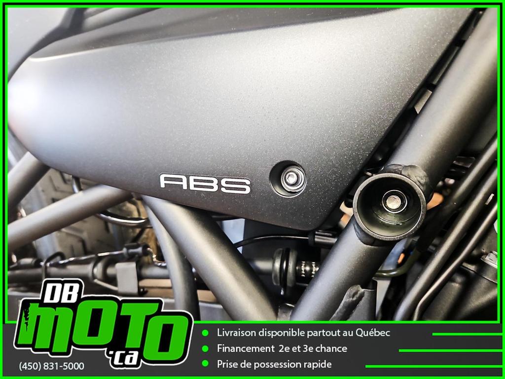 Kawasaki ELIMINATOR 2024