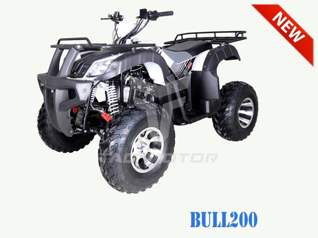 Cliquez pour agrandir