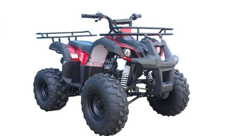 Cliquez pour agrandir