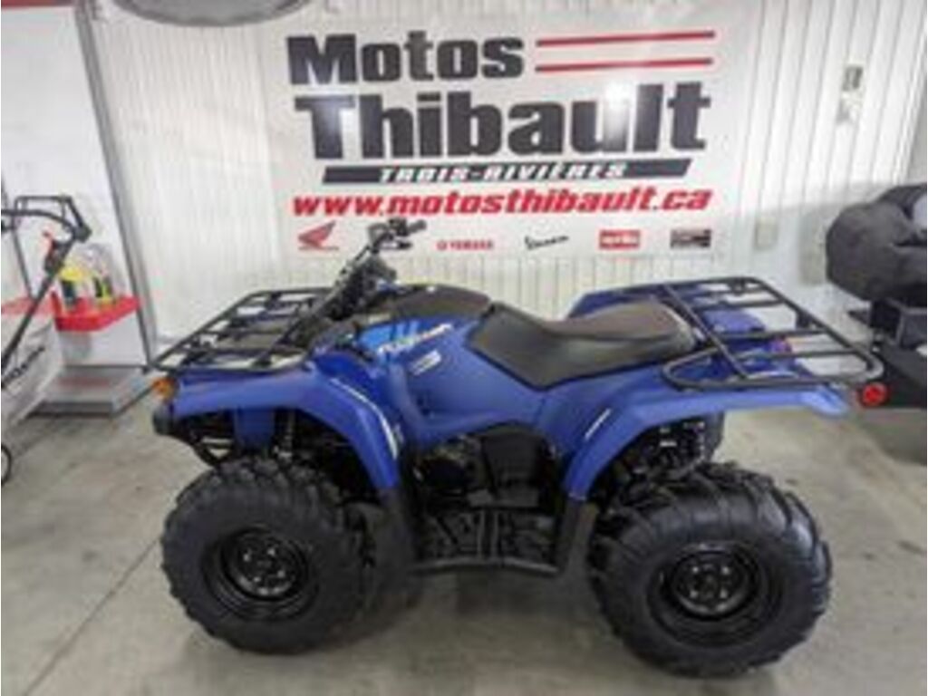 Cliquez pour agrandir