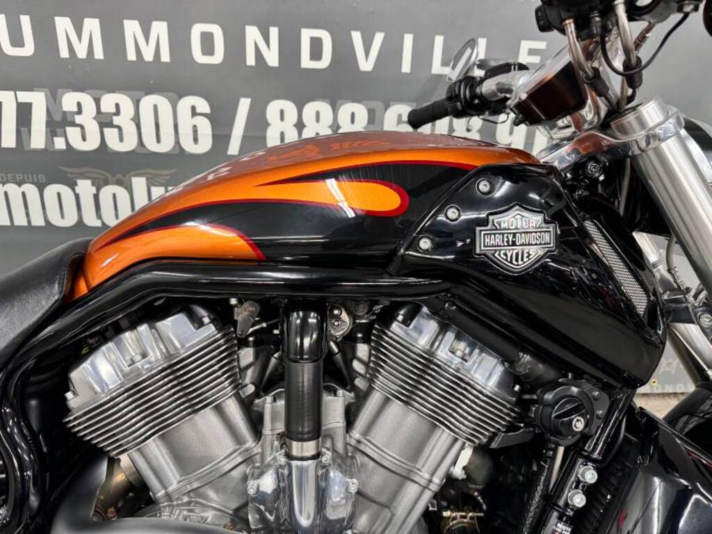 Harley-Davidson VRSCF Muscle V-Rod 2014