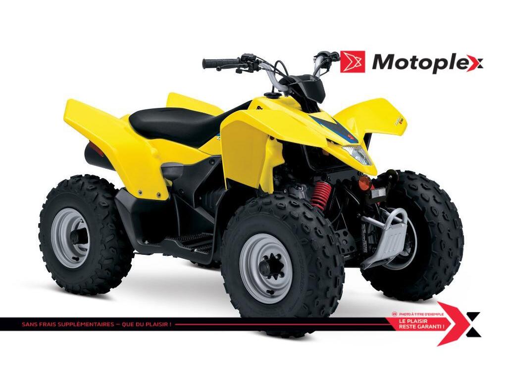 Cliquez pour agrandir