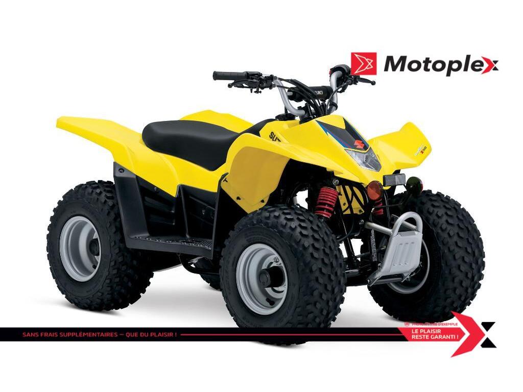 Cliquez pour agrandir