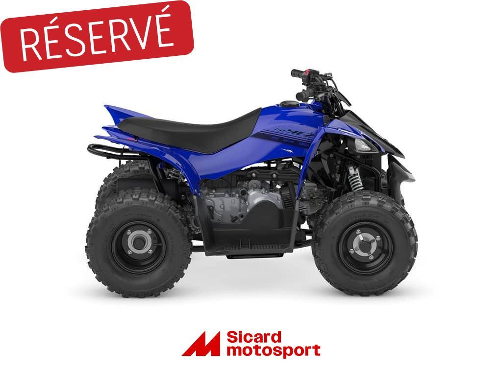 Cliquez pour agrandir