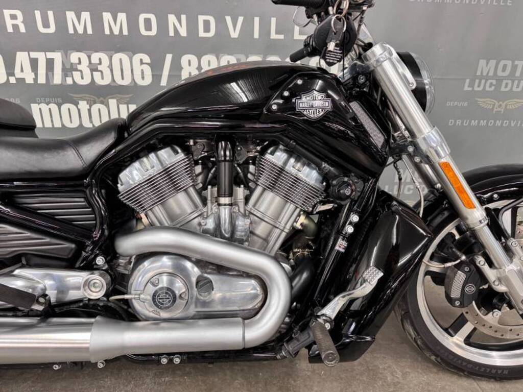 Harley-Davidson VRSCF Muscle V-Rod 2015