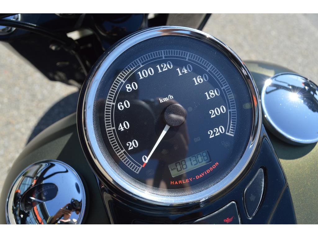 Harley-Davidson FLSS 2017