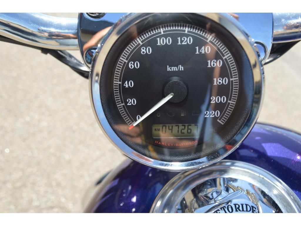 Harley-Davidson XL1200C 2009