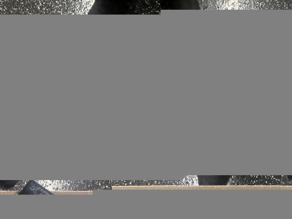 Cliquez pour agrandir