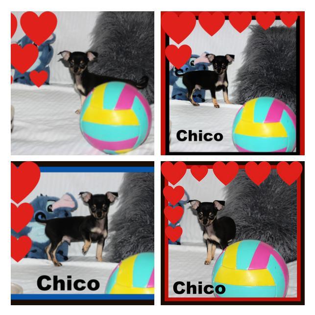 Cliquez pour agrandir