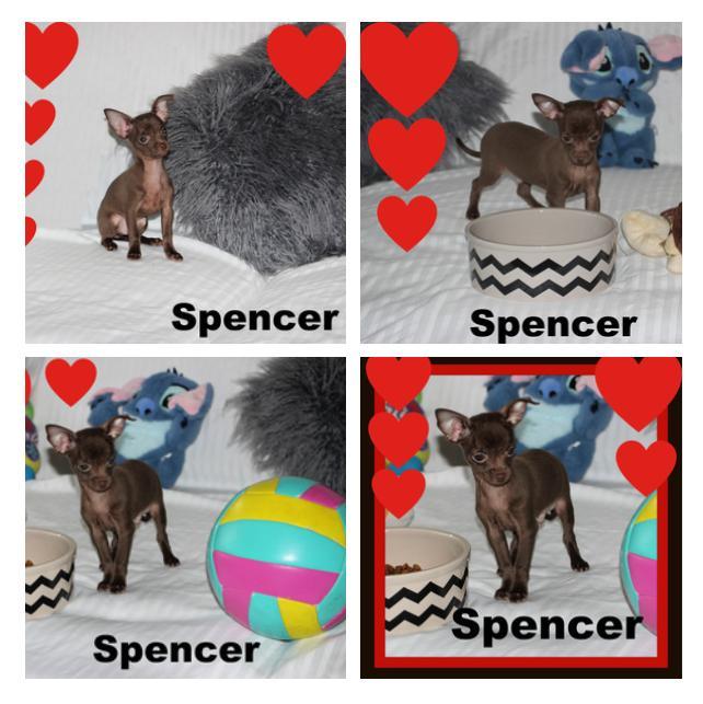 Cliquez pour agrandir