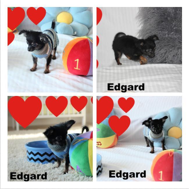 Cliquez pour agrandir