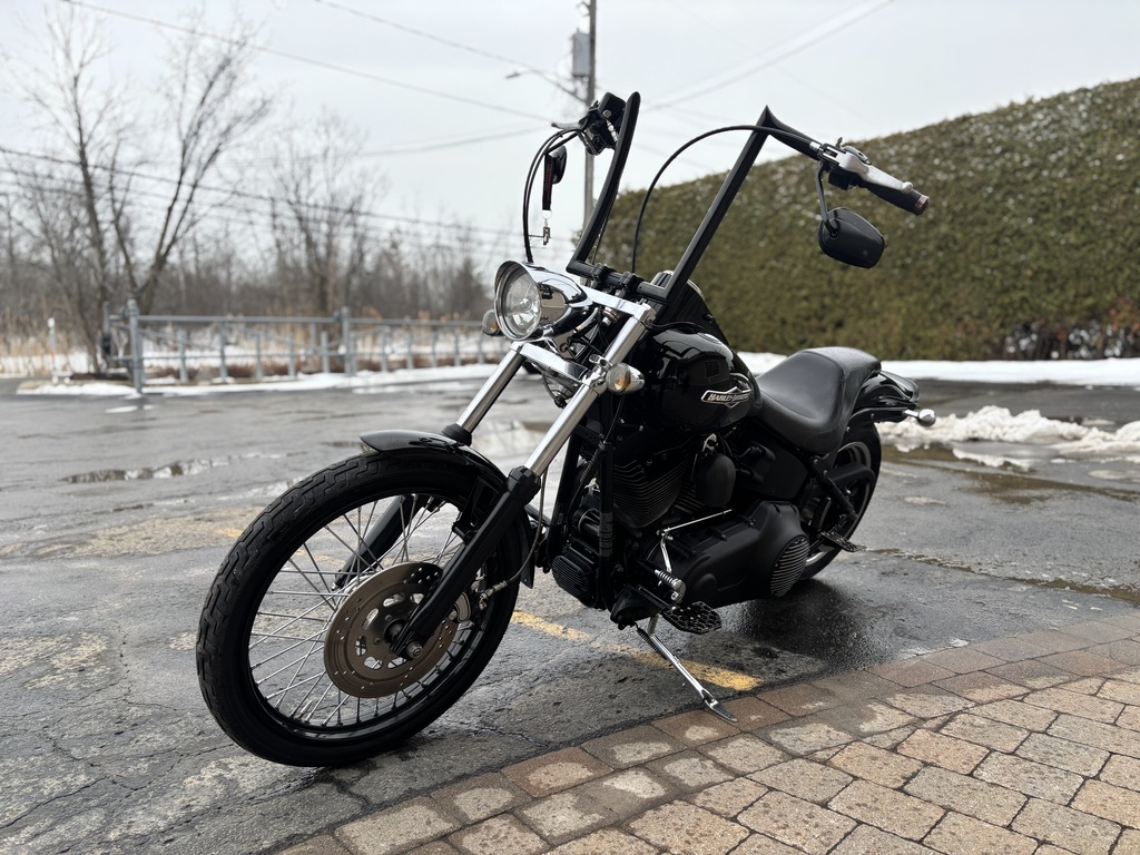 Harley-Davidson Softail 2007