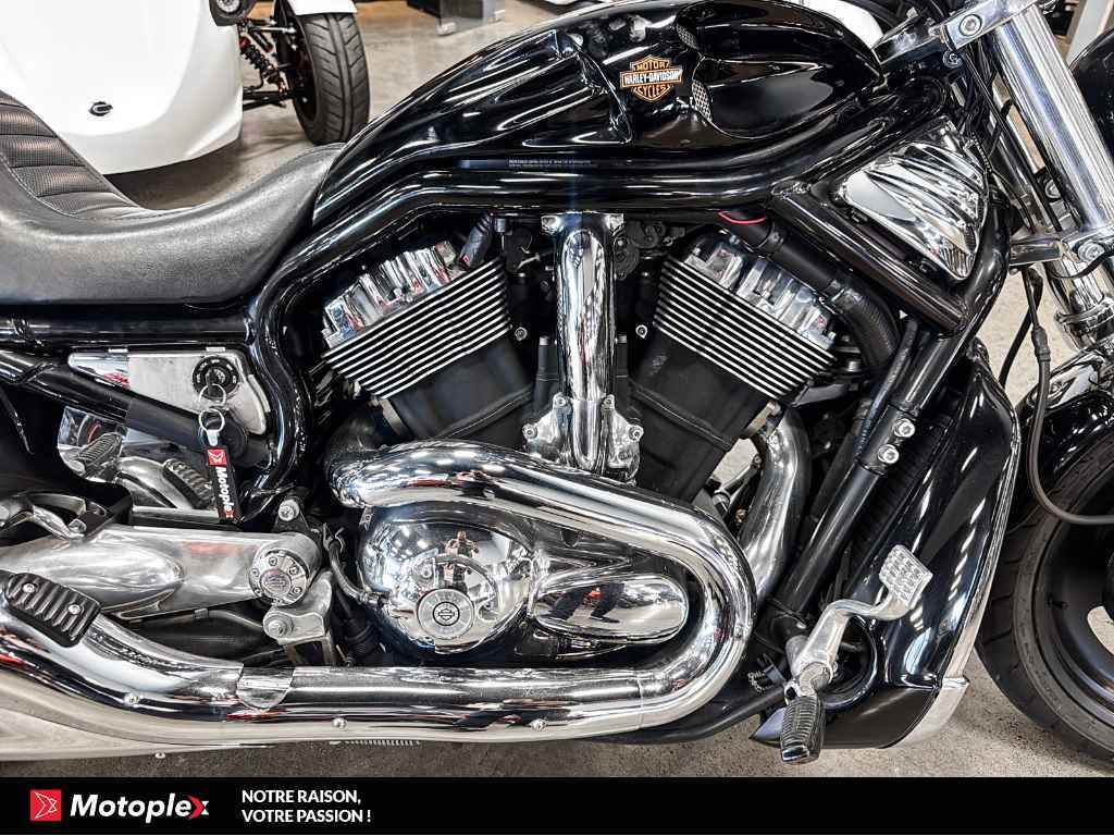 Harley-Davidson VROD NIGHT ROD *BAS KILO* 2006