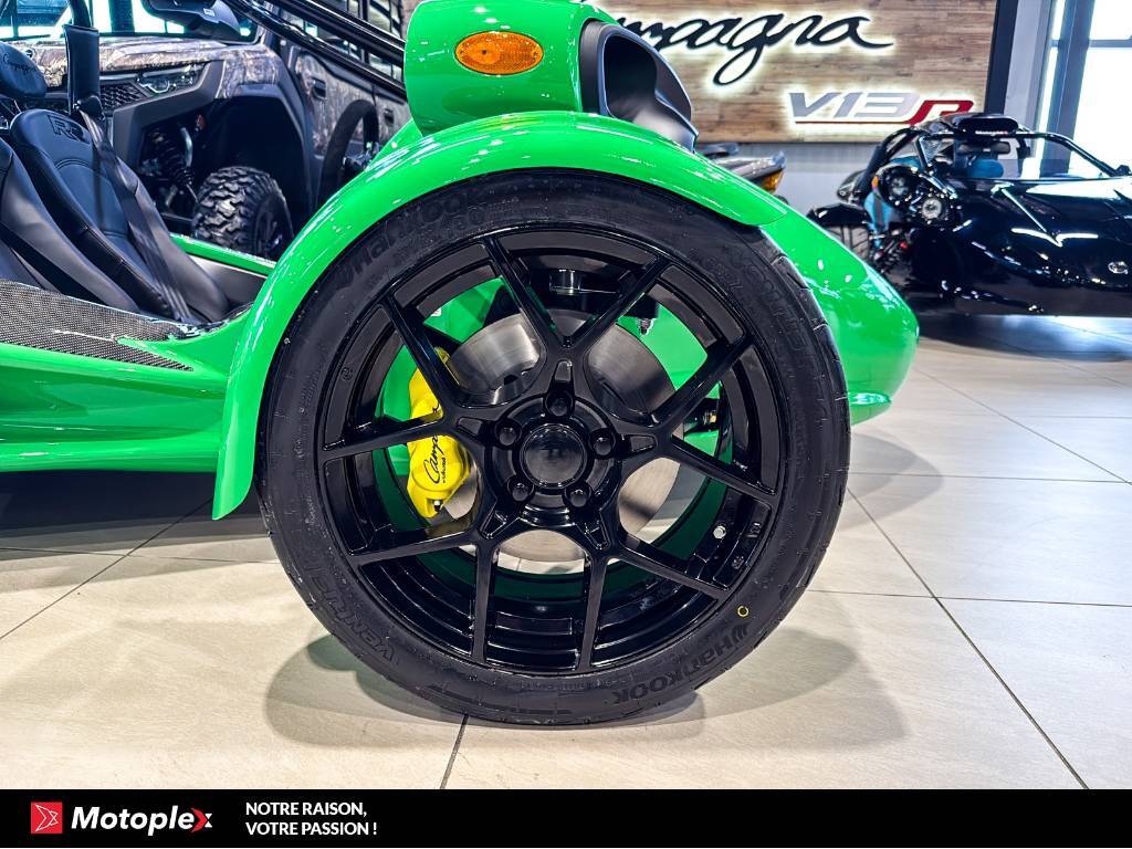 Campagna T-Rex RR 2026