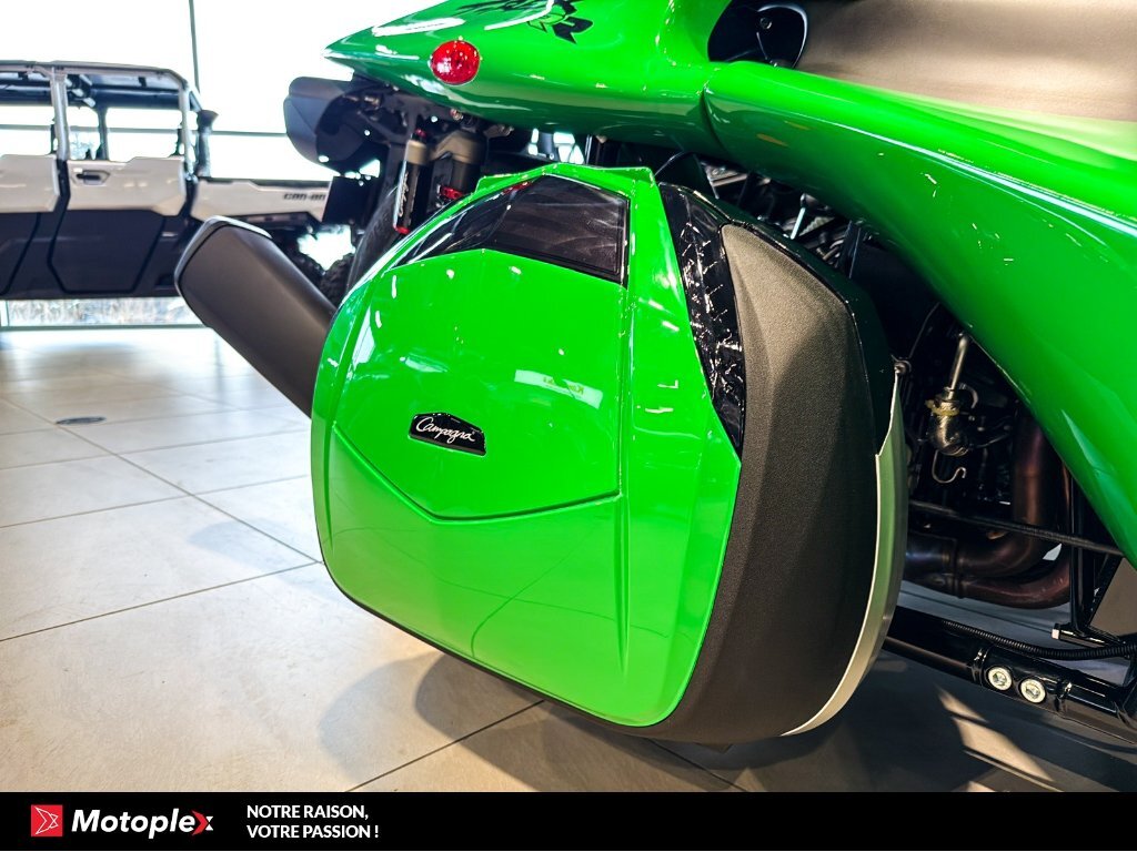 Campagna T-Rex RR 2026