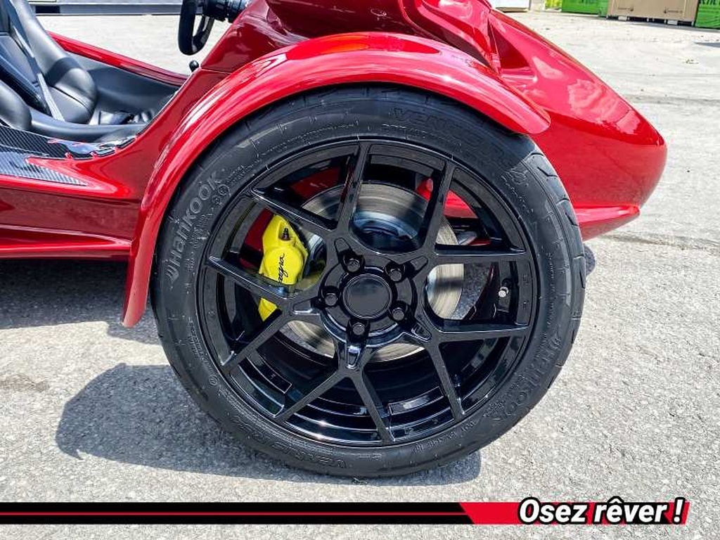 Campagna T-Rex RR 2026