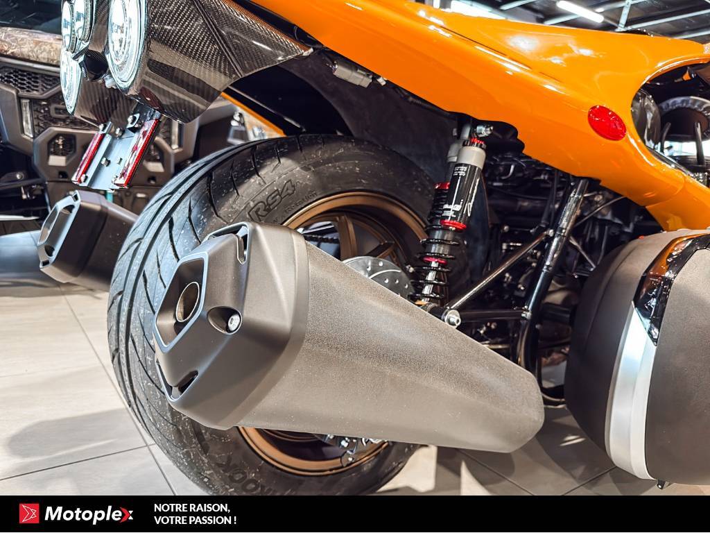 Campagna T-Rex RR 2026