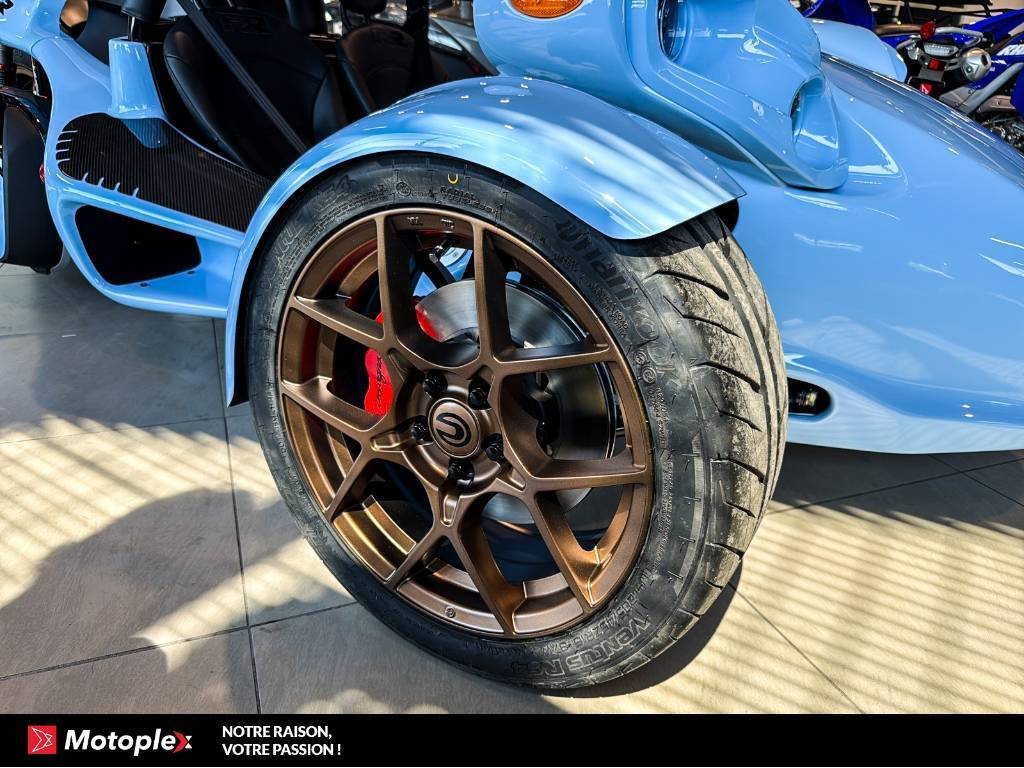 Campagna T-Rex RR 2026