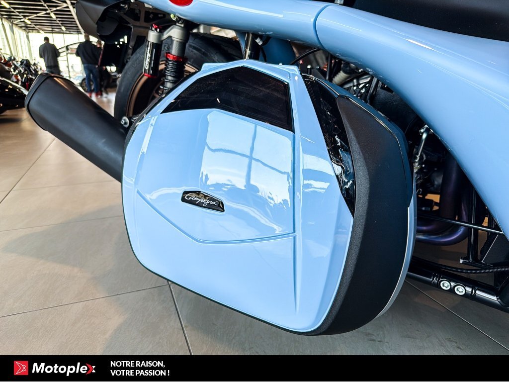 Campagna T-Rex 2026