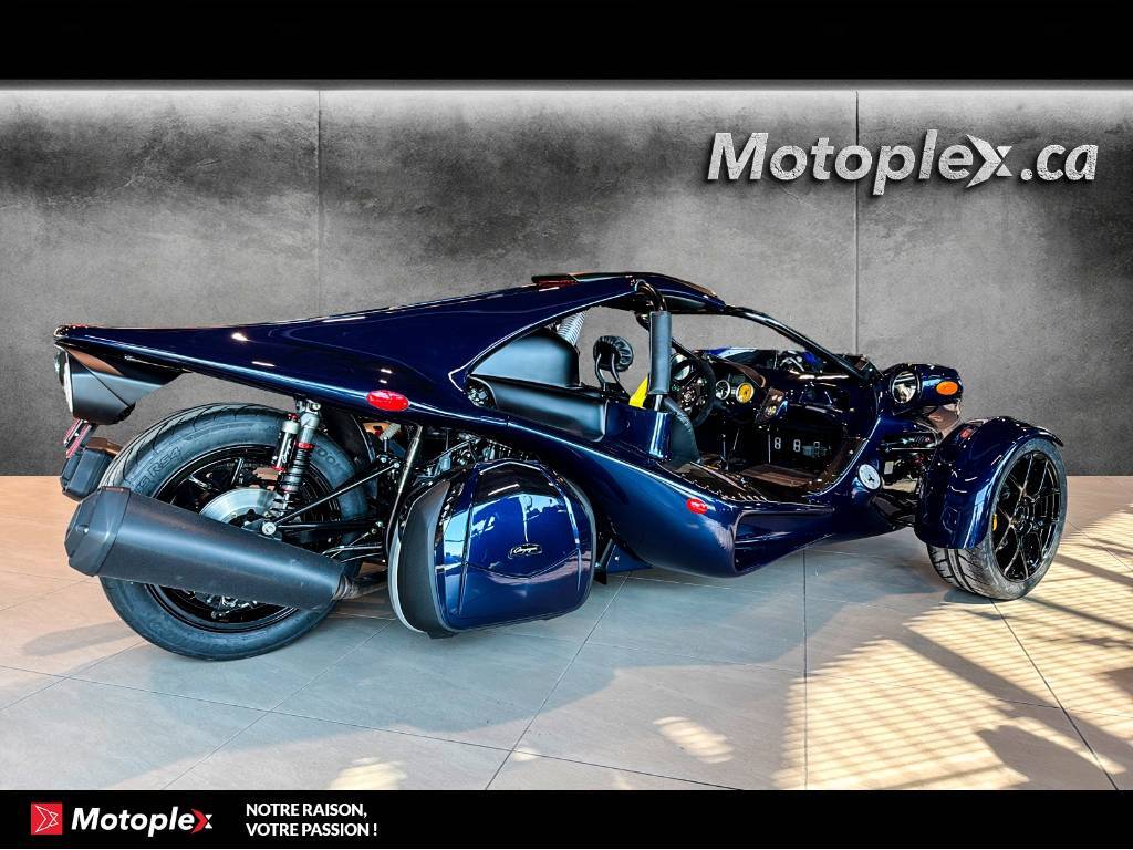 Campagna T-Rex RR 2026