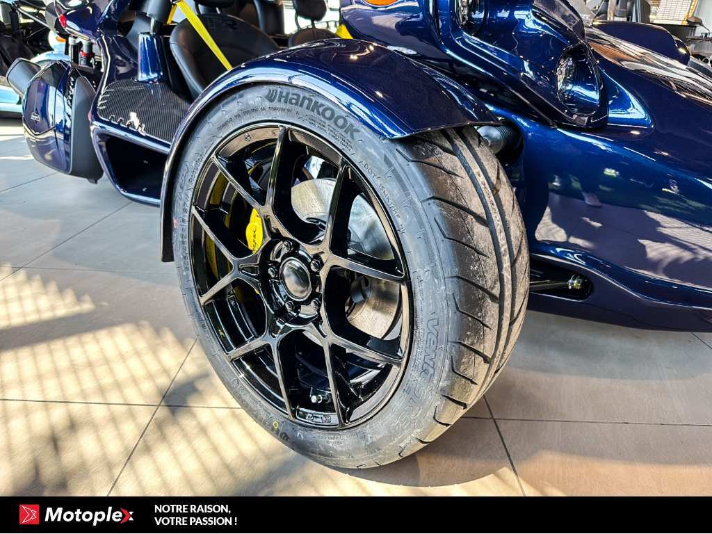 Campagna T-Rex 2026