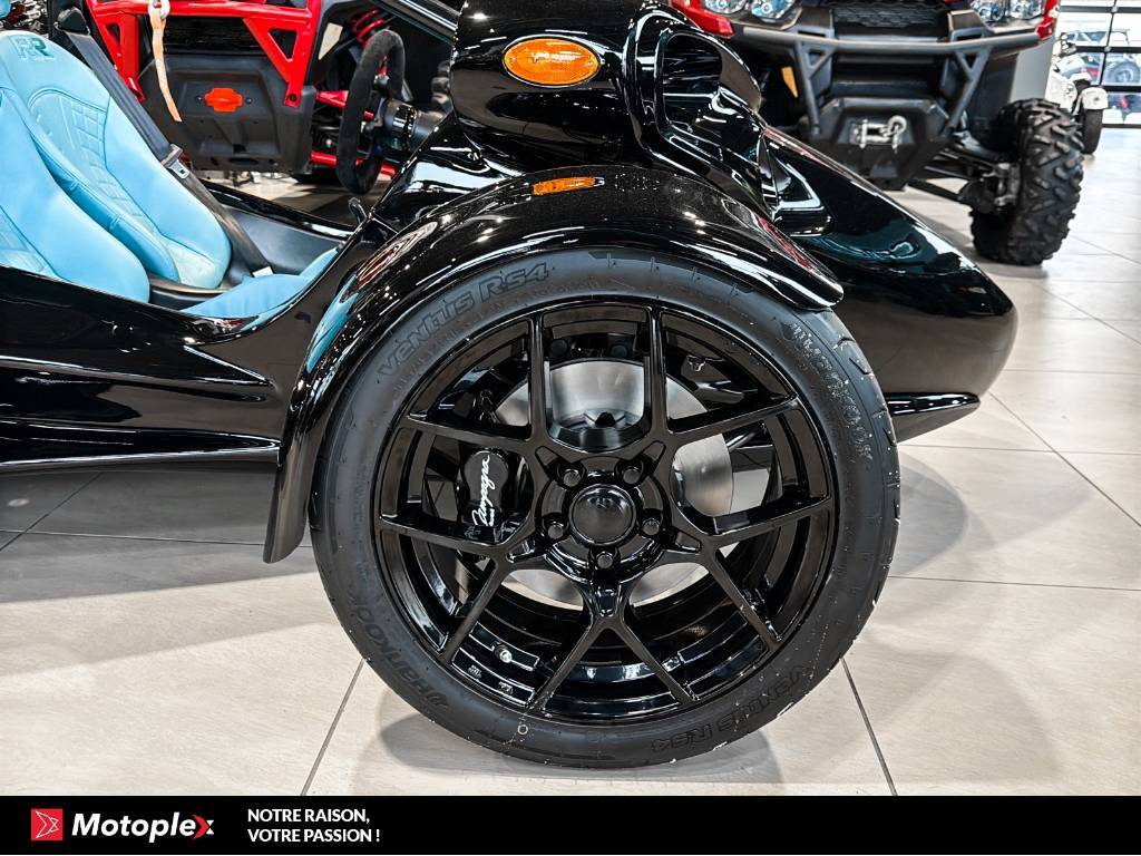 Campagna T-Rex RR 2026