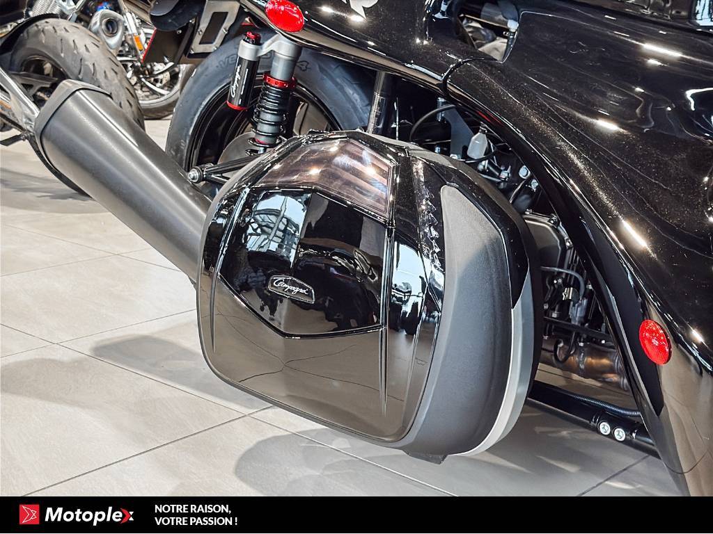Campagna T-Rex RR 2026