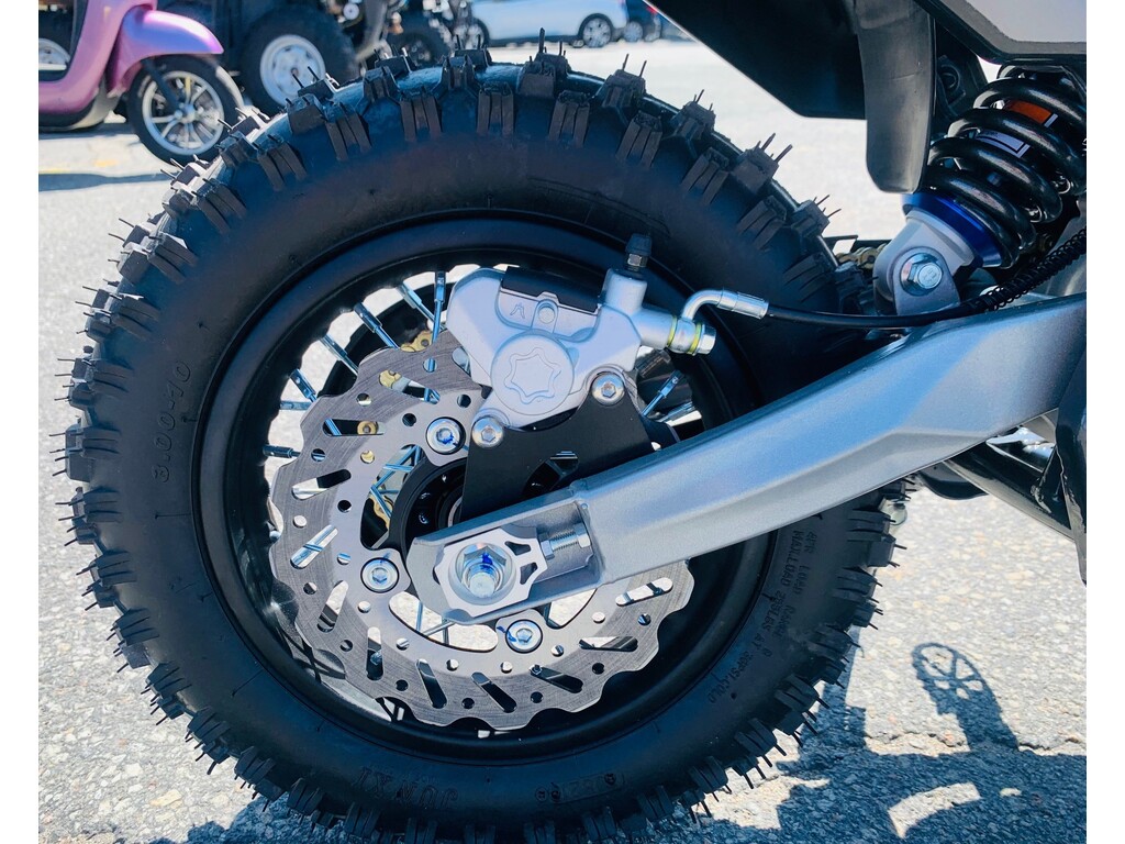 Apollo Motors RXF 2026