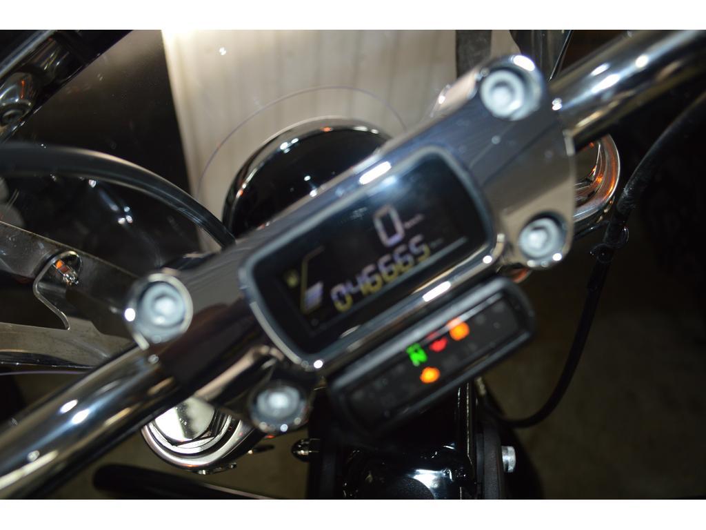 Harley-Davidson FXST Softail 2020