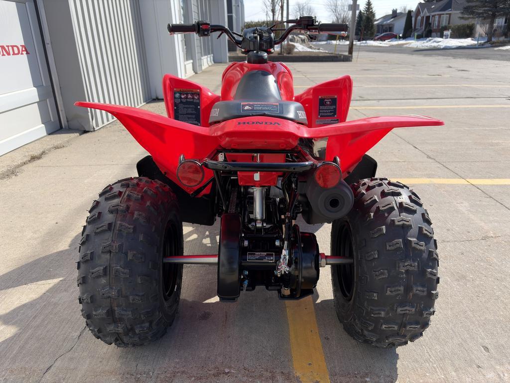 Honda TRAIL 125 2026