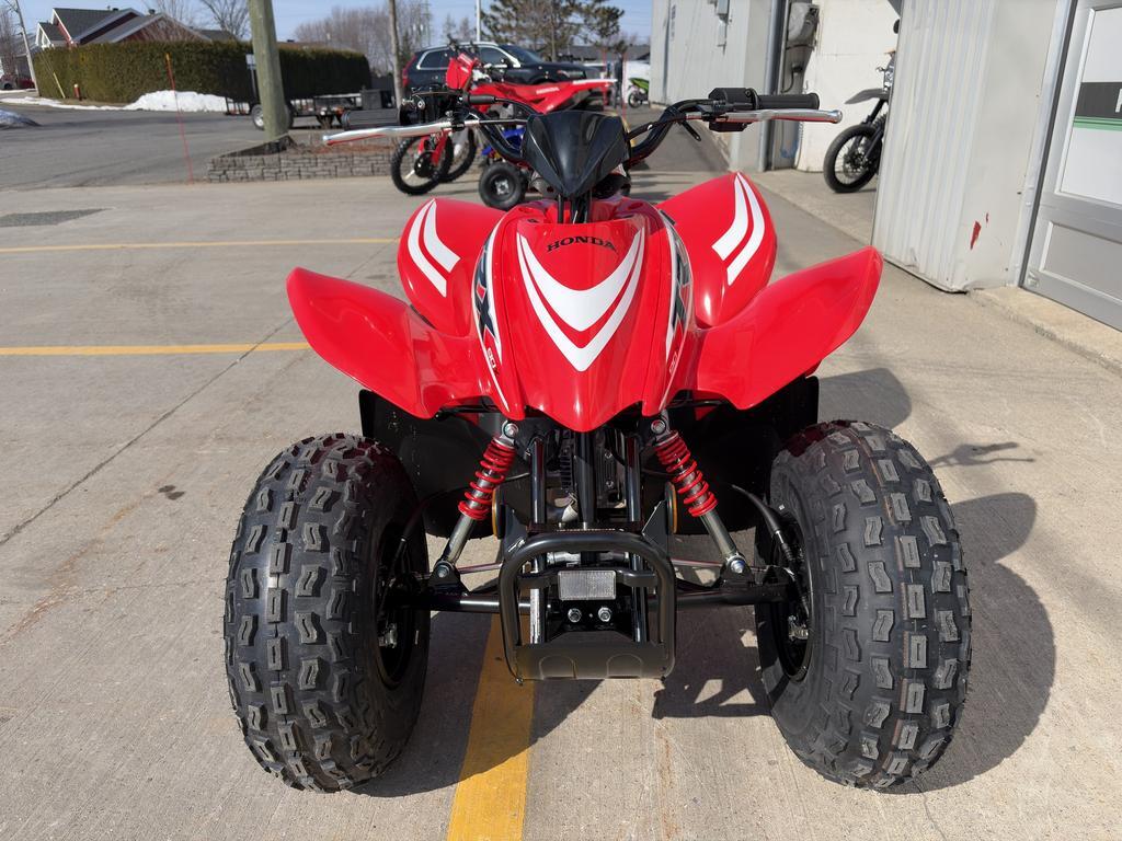 Honda TRAIL 125 2026
