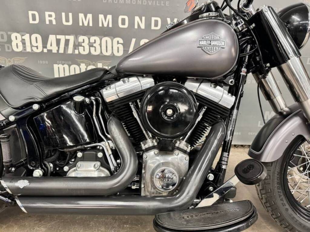 Harley-Davidson FLS Softail Slim 2014