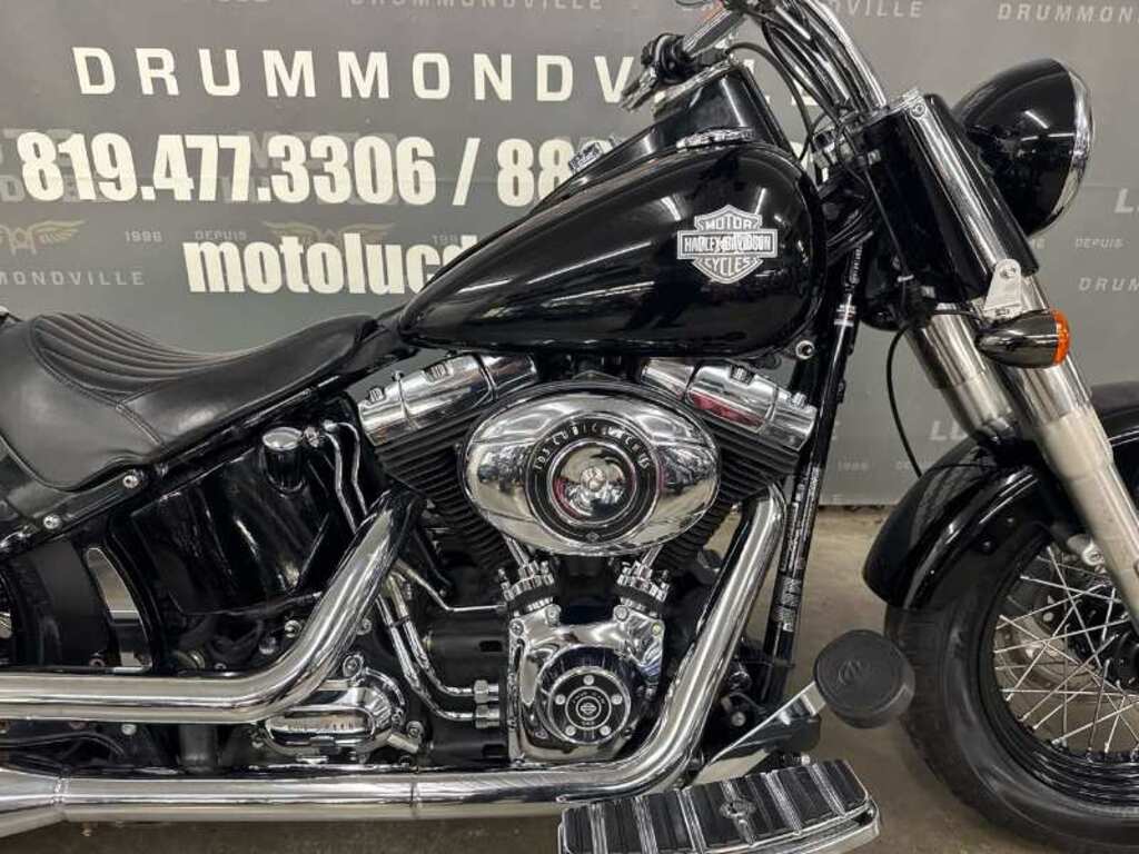 Harley-Davidson FXDL Dyna Low Rider 2009