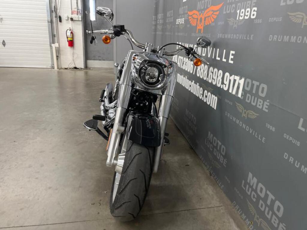 Harley-Davidson Iron 1200 2019