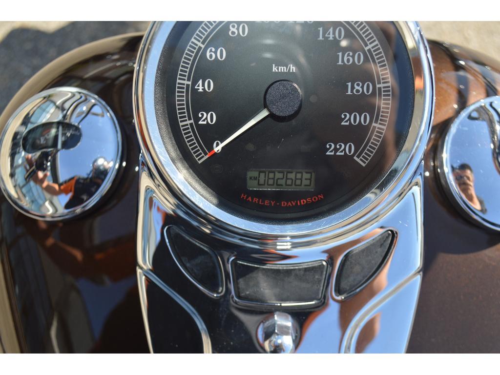 Harley-Davidson FLSTC Custom 2013