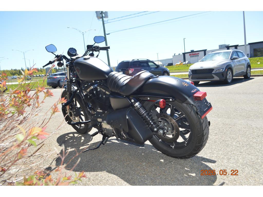Harley-Davidson XL883N 2022