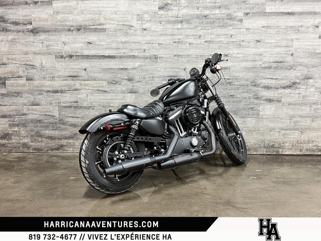 Harley-Davidson XL883N IRON 2019