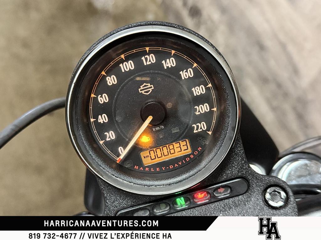 Harley-Davidson XL883N IRON 2019