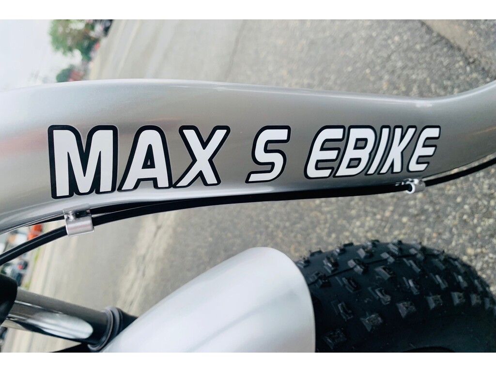 Daymak MAX S 48V 350W 2024