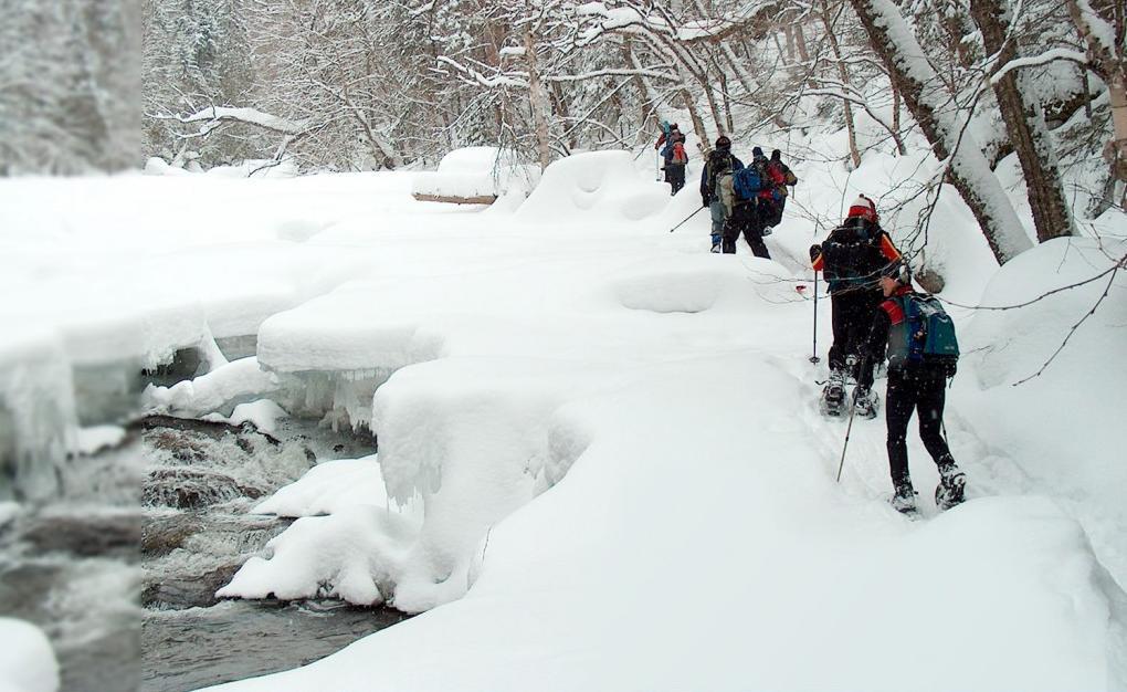 Terrain de villégiature au Massif du Sud Annonce a Saintphilemon