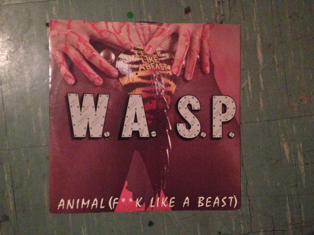 33 tours wasp - animal