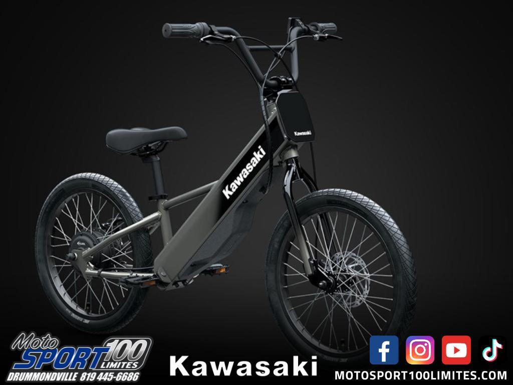 Kawasaki Elektrode 2025