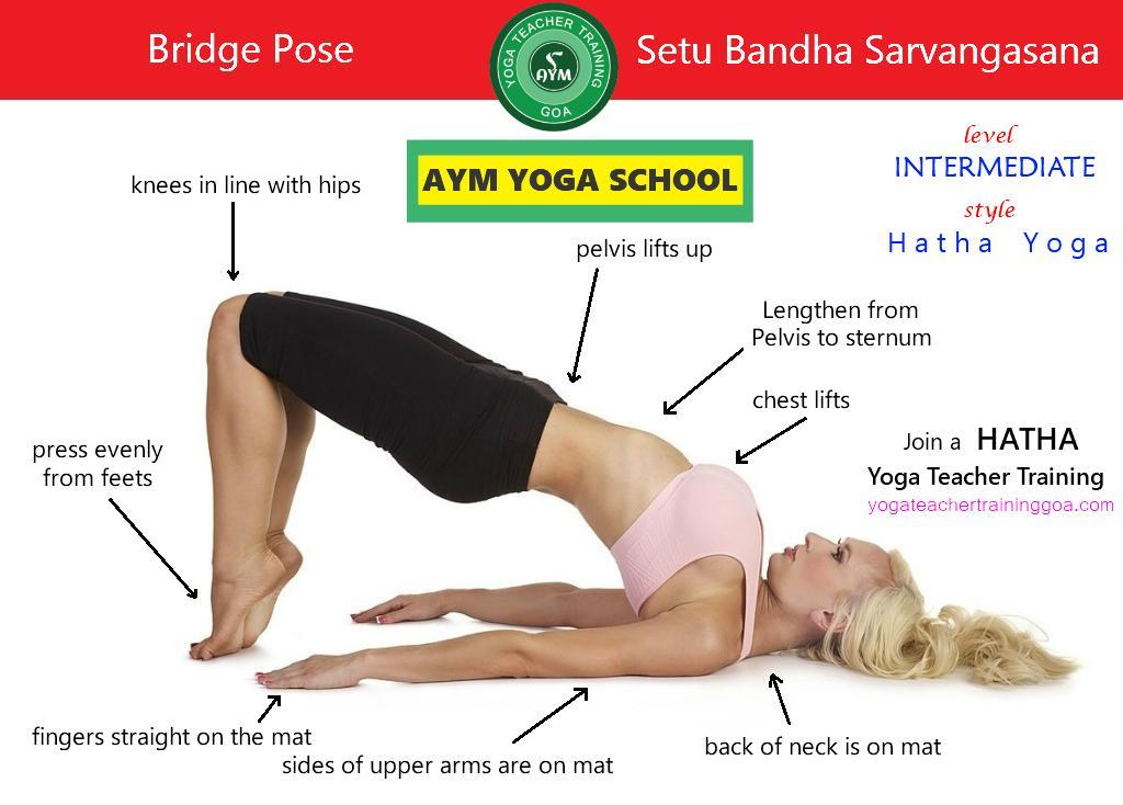 Cours de certificat de formation de professeur de yoga de 200 heures